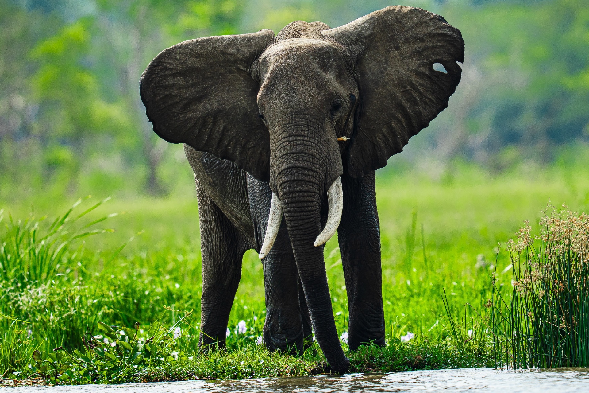 0c43a732-3be1-4157-bc59-65fed0cdb8fa