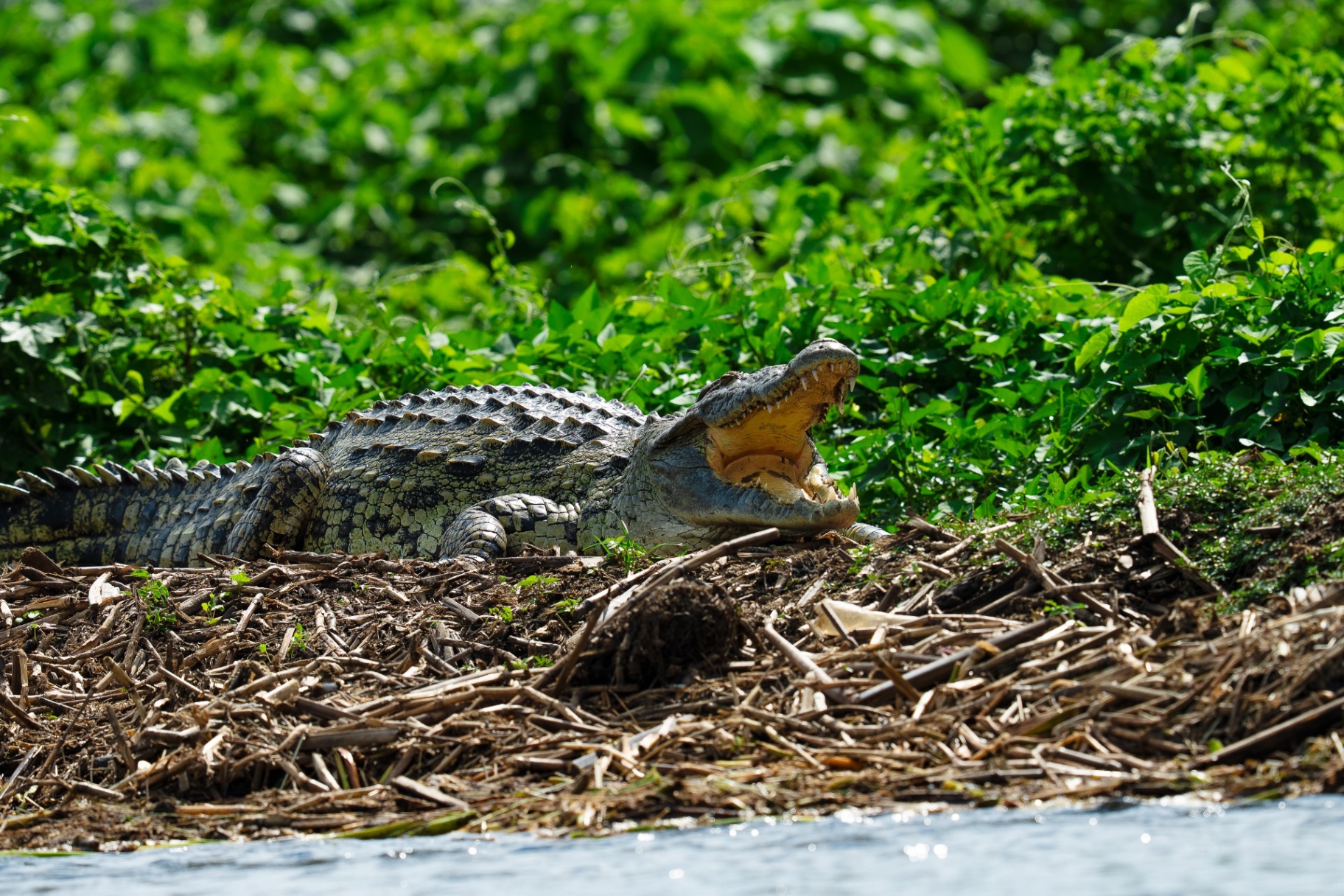 12222820-a0a4-40bf-8e0c-92a53d5913d9