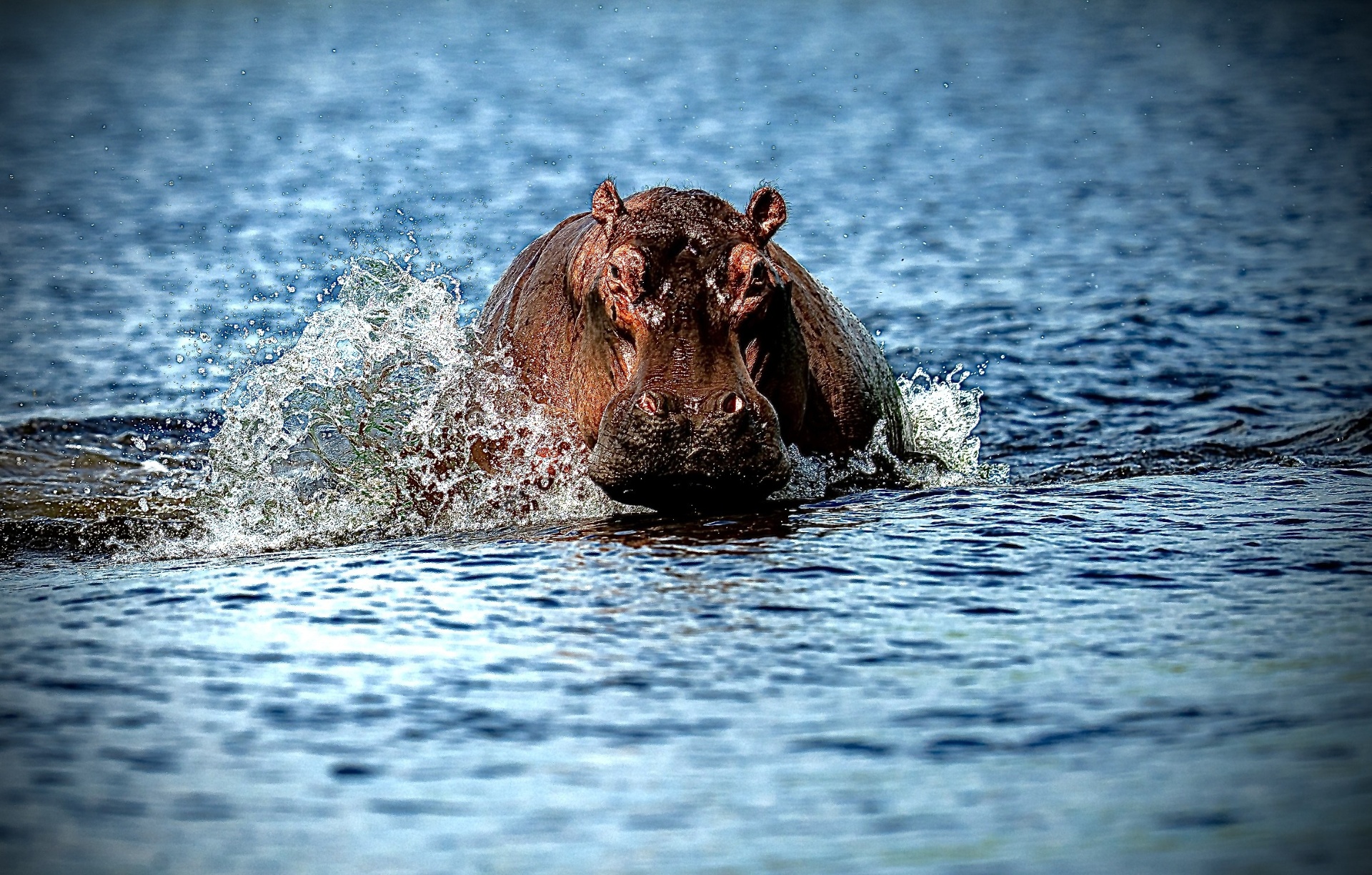 5ff569c7-1fd5-476c-bb58-29e316919065